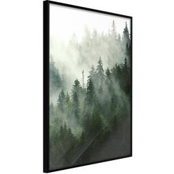 Arkiio Affisch Coniferous Forest [Poster] 20x30 Poster